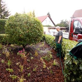 Cornelia Loitsch Landschaftspflege & Gartengestaltung in Köthen, Mitarbeiterin beim Vorgarten bewässern
